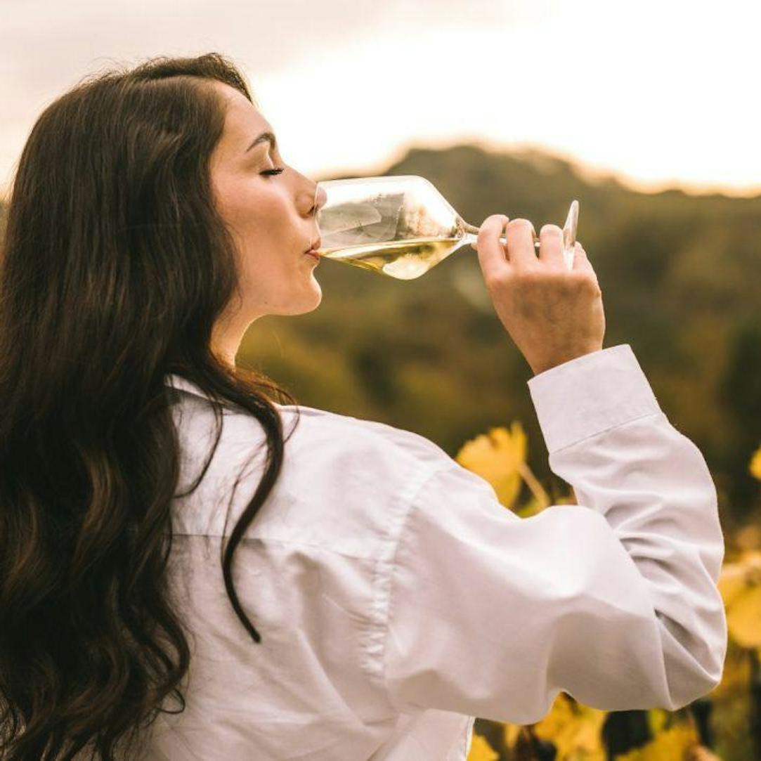 Popotovanje po mestu tisočletne vinske kulture ptuj